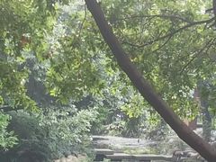 -成都市活水公园