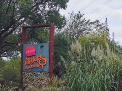 -前小桔亲子创意农场·草莓采摘·露营烧烤