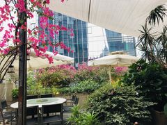 -听香·678茶铺(猛追湾店)