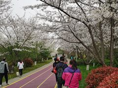 -尚贤河湿地