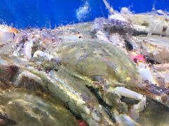 -船梆煮•蒸汽海鲜·生腌干蒸(五四广场店)