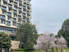 -成都蒲江花样年福朋喜来登度假酒店·宜客乐西餐厅