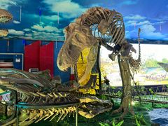 -诸城市恐龙博物馆