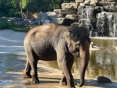 -北京野生动物园