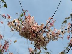-白石龙音乐公园