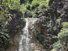 -南海湾森林生态园