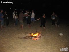 -西涌国际滨海旅游区