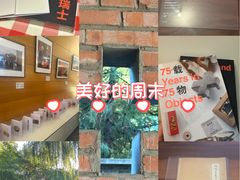 -三里屯东五街银杏大道