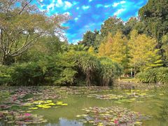 -中国科学院西双版纳热带植物园