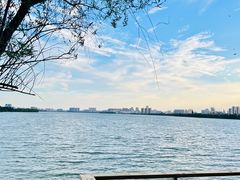 -艾溪湖湿地公园