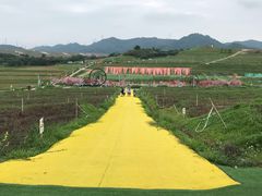 -光明小镇欢乐田园