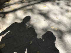 -罗布林卡