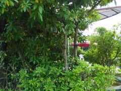 -汕头莲花山度假村温泉