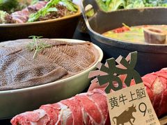 -大龙燚·旷野鲜火锅(广州首店)
