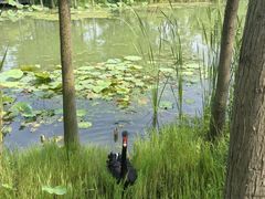 -昆山城市生态森林公园