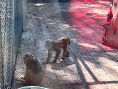 -水上乐园·欢乐世界