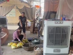 -马陆小张葡萄园农家乐