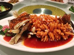 -得月楼·省级非遗·传统苏帮菜(观前店)