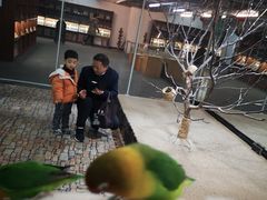 -上海大自然野生昆虫馆(东方明珠·爬宠昆虫探索中心)