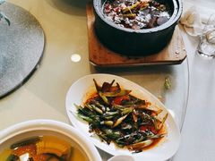 沸腾香蛙腿-大蓉和(一品天下店)