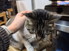 -铜瓢江湖兔火锅(水碾河社区店)