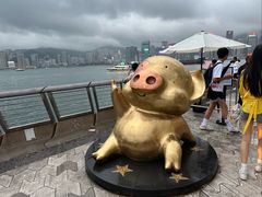 -星光大道
