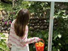 -桃源山庄·水蜜桃采摘·柴火鸡·烧烤团建(龙泉山店)