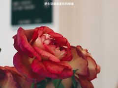 -Seeking Coffee咖啡(新竹路店)