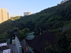 -鲤鱼塘农家山庄