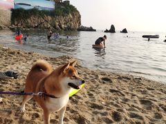 -石槽海滨浴场