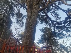 -终南山南五台景区