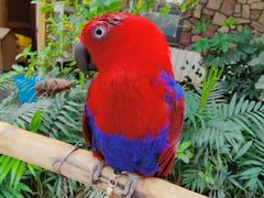 -南宫五洲植物乐园