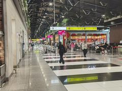 -谢列梅捷沃国际机场