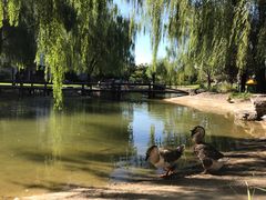 怡宝矿泉水-清真·二嫂子煎饼果子(卫津路总店)