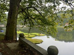 -庐山风景区花径公园