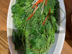 -鸽子窝(青塔店)