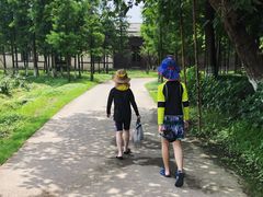 -乌村