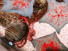 -沈阳海洋探索中心