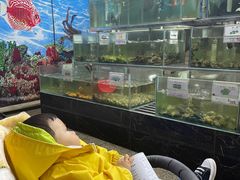 -波记美食店·现捞海鲜