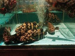 -阿伟海鲜楼·福建菜(延寿店)