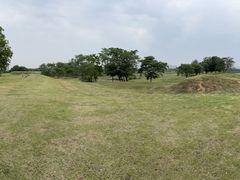 -盘龙城国家考古遗址公园