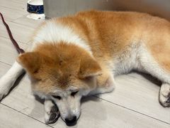 -YCHL Studios健身工作室(市二宫店)