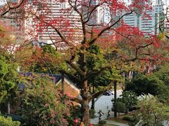-广州中山纪念堂