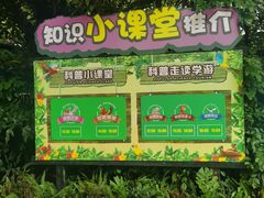-广州长隆飞鸟乐园