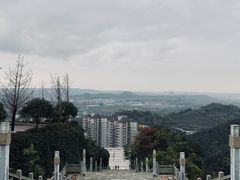-铁山坪森林公园