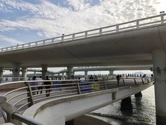 -演武大桥观景平台