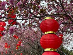 -乌石村