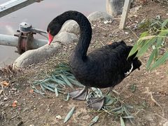 -春晖园度假酒店温泉