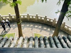 -汇龙潭