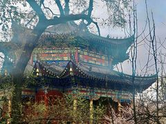 -北山公园